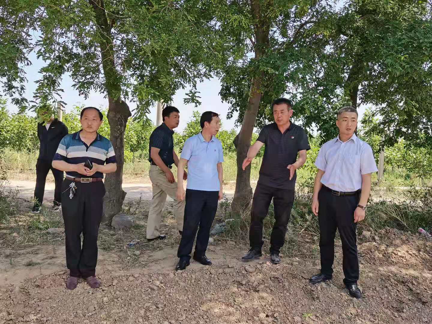 2024年免费资料全集