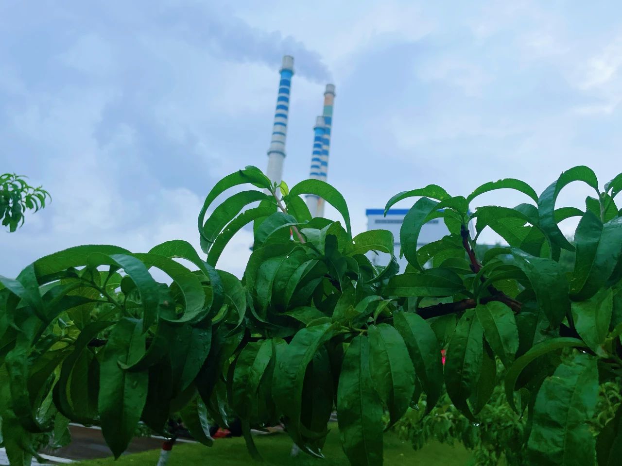 微信图片_20250707081303(1).jpg
